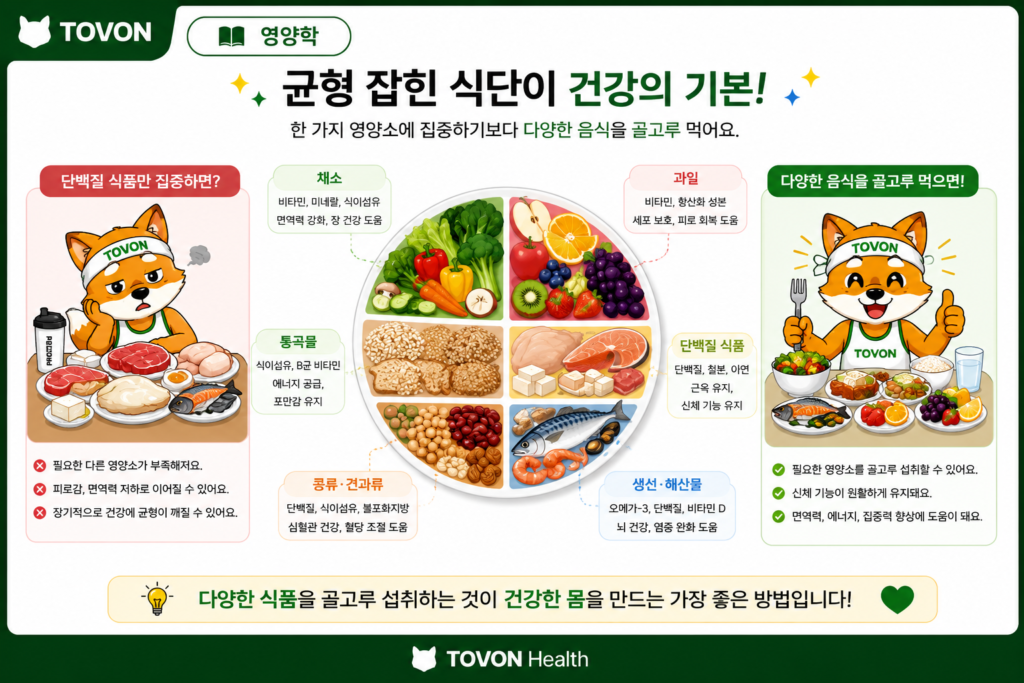 비타민과 미네랄은 왜 필요할까? 우리 몸에서 하는 역할 다양한 음식을 통해 비타민과 미네랄을 균형 있게 섭취하는 식단 이미지