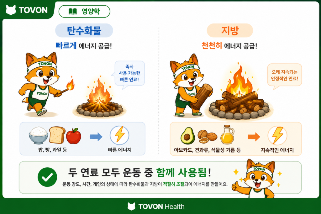 탄수화물과 지방을 빠르게 에너지를 공급하는 불쏘시개와 천천히 에너지를 공급하는 장작에 비유한 이미지