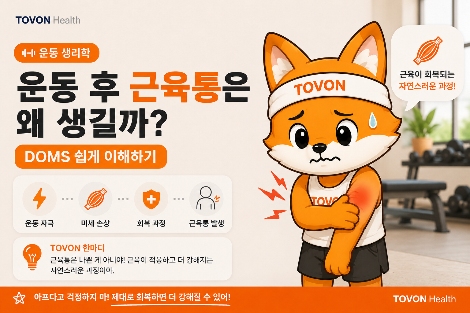 doms 표지