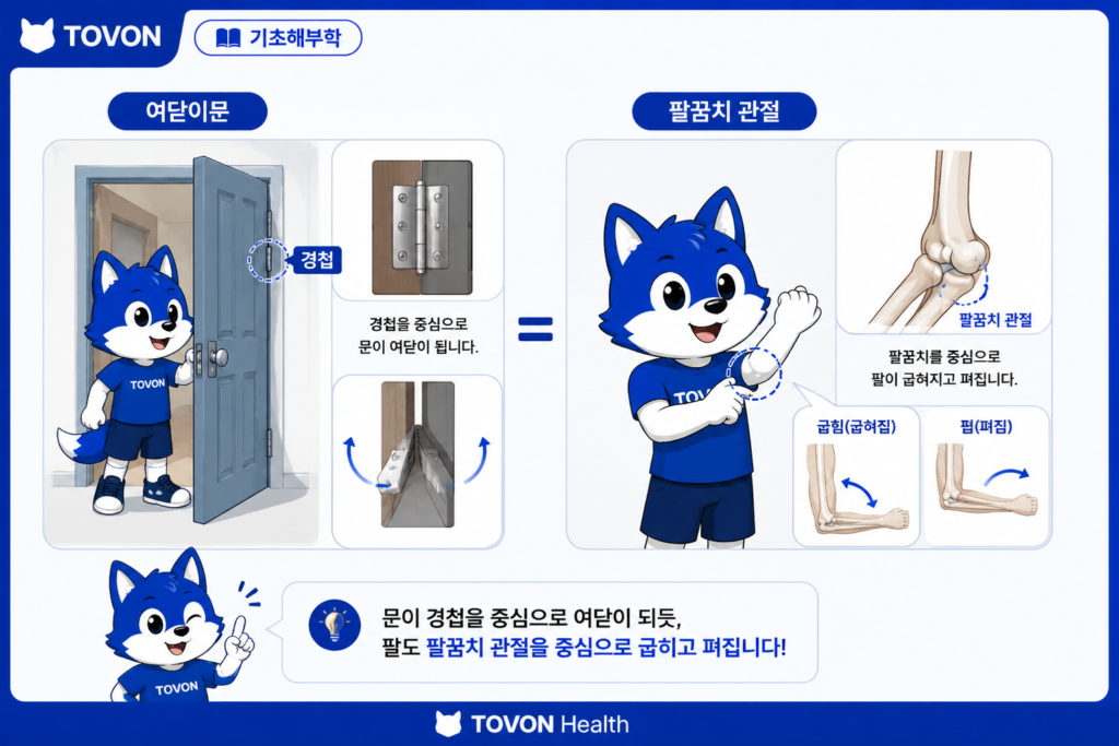 팔꿈치의 굽힘과 폄을 여닫이문 경첩에 비유한 그림