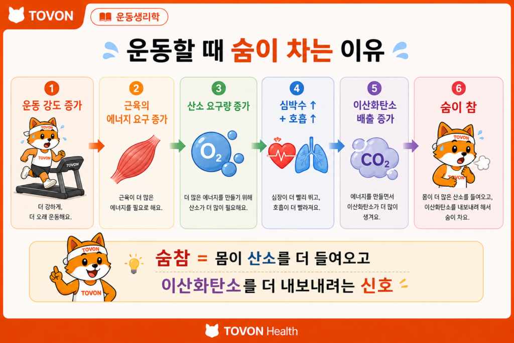 운동 강도 증가에 따라 산소 요구량과 호흡이 증가하는 과정