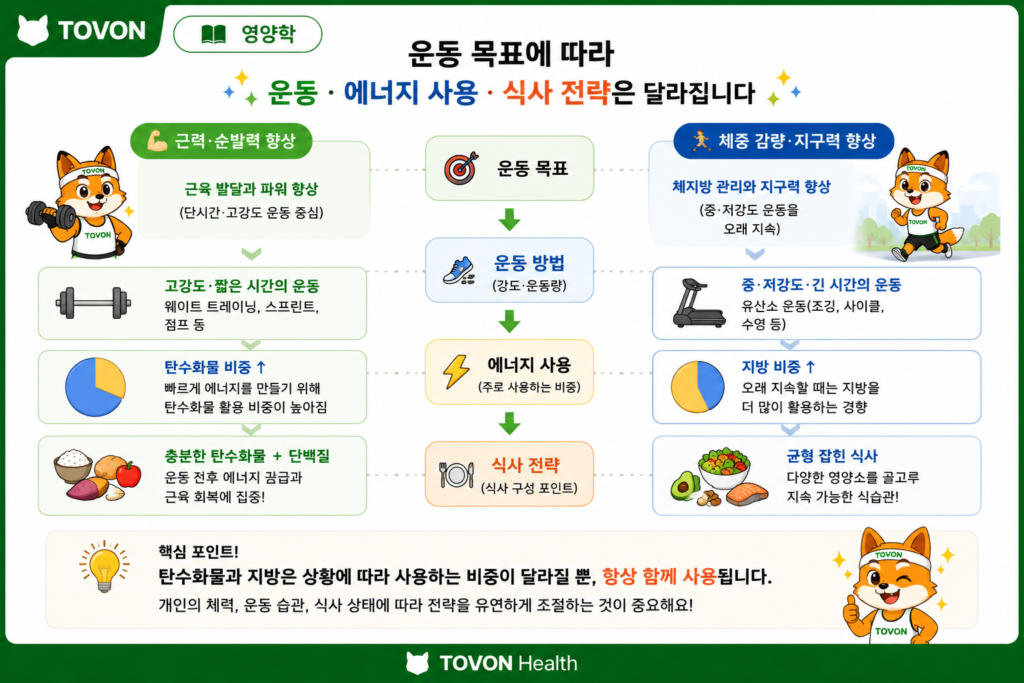 운동 목표와 운동 강도에 따라 에너지 대사와 식사 전략을 고려하는 과정을 보여주는 이미지