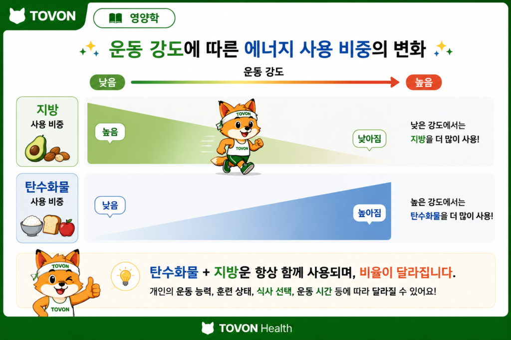 운동 강도가 높아질수록 탄수화물 사용 비중이 증가하고 지방 사용 비중이 상대적으로 감소하는 과정