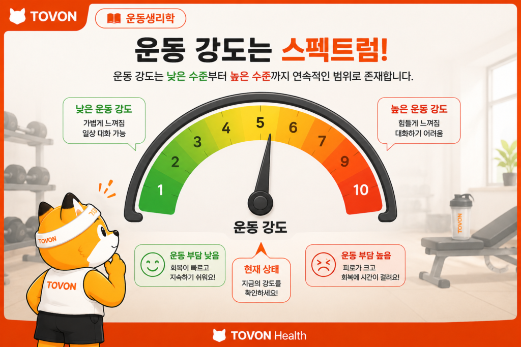 운동 강도가 낮은 수준부터 높은 수준까지 증가하는 과정을 계기판으로 표현한 이미지