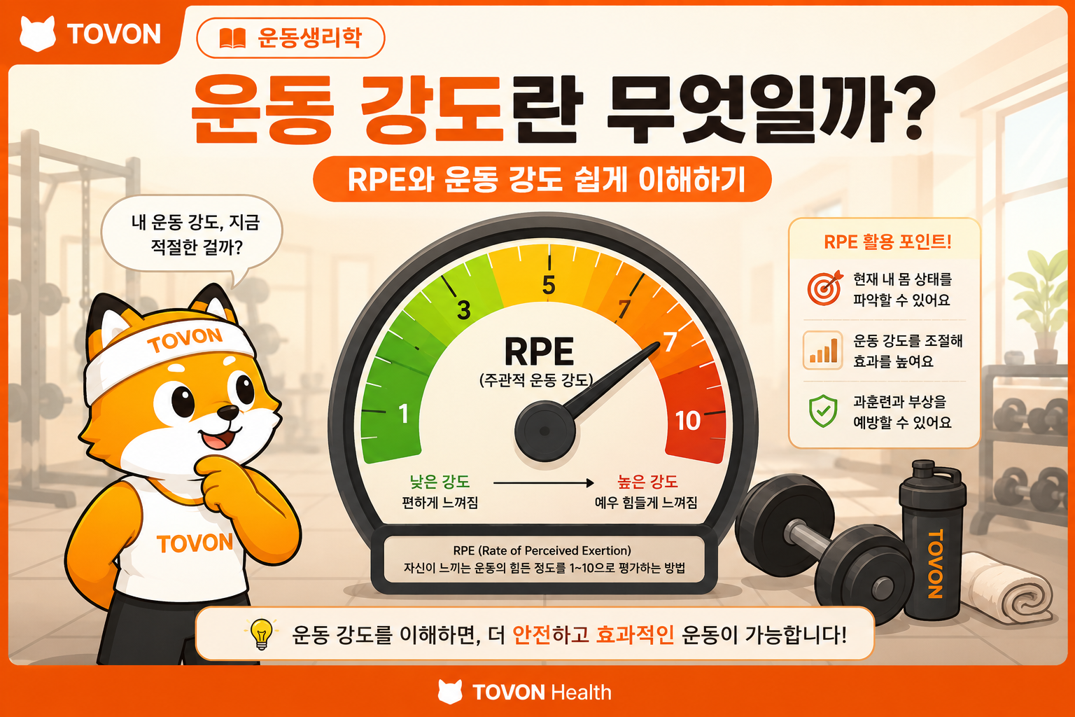 운동 강도와 RPE의 개념을 계기판으로 표현한 TOVON Health 운동생리학 이미지