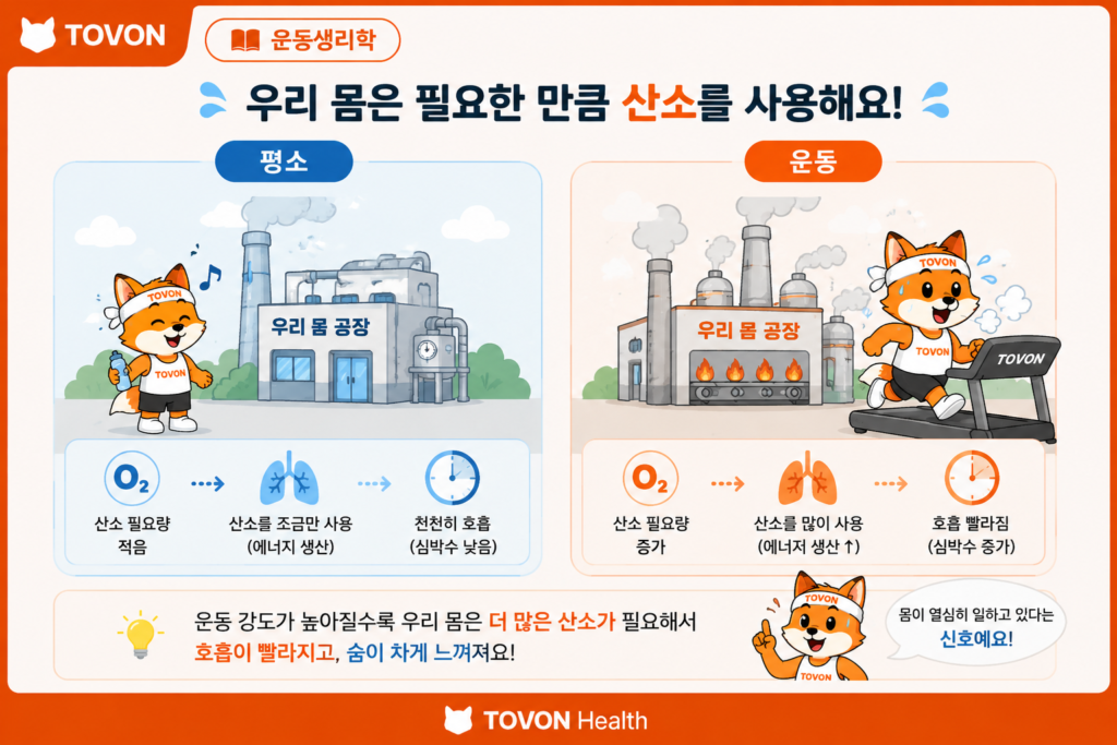 운동 강도가 증가하면서 산소 요구량과 호흡이 증가하는 과정