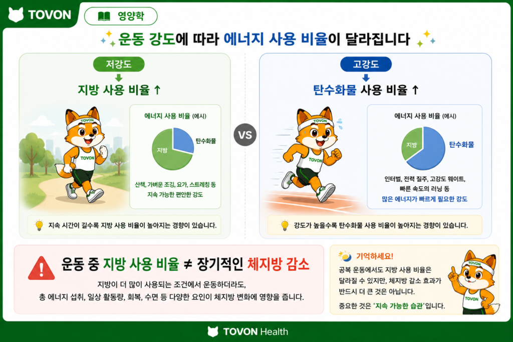 운동 강도에 따른 지방과 탄수화물 사용 비율 및 공복 유산소의 관계를 설명하는 이미지