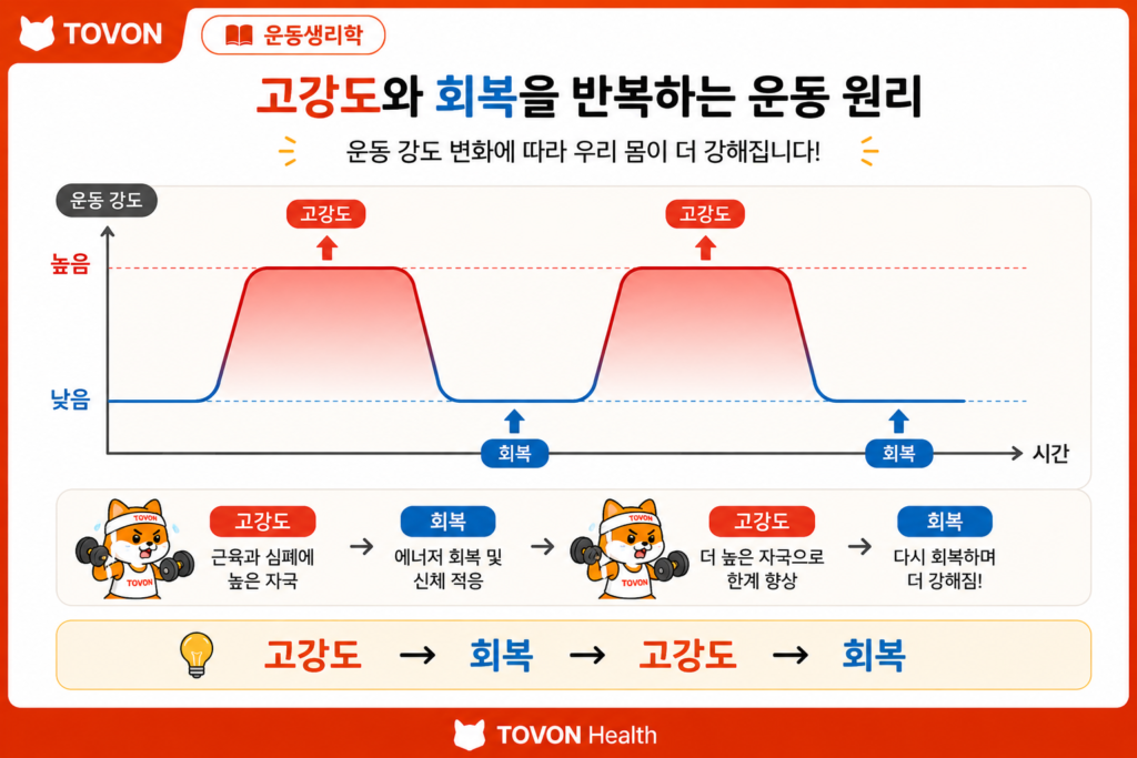 고강도 운동과 저강도 회복을 반복하는 인터벌 트레이닝의 운동 강도 변화