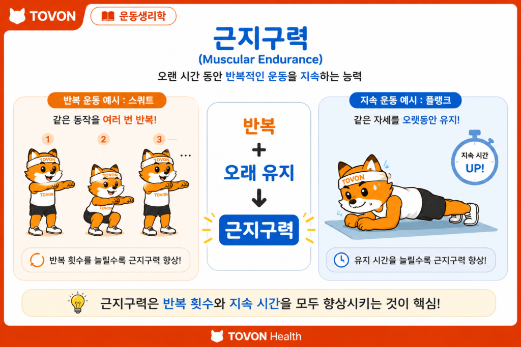 근력과 근지구력의 차이, 운동 효과는 어떻게 다를까? 반복적인 운동과 자세 유지를 통해 근지구력을 설명하는 이미지