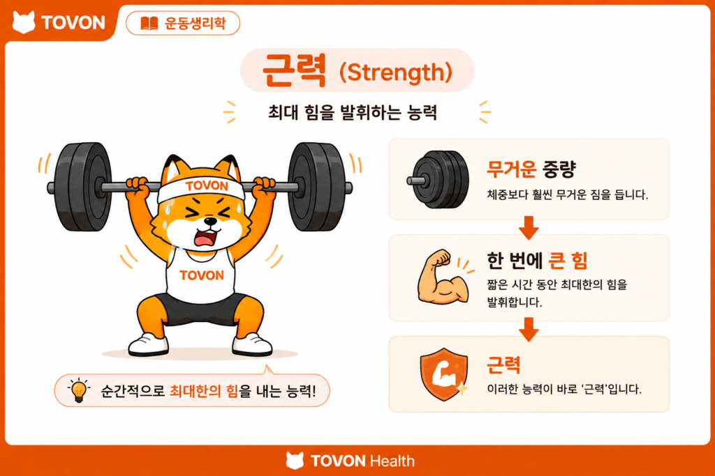 근력과 근지구력의 차이, 운동 효과는 어떻게 다를까? 1RM과 근력을 설명하는 무거운 바벨 운동 이미지