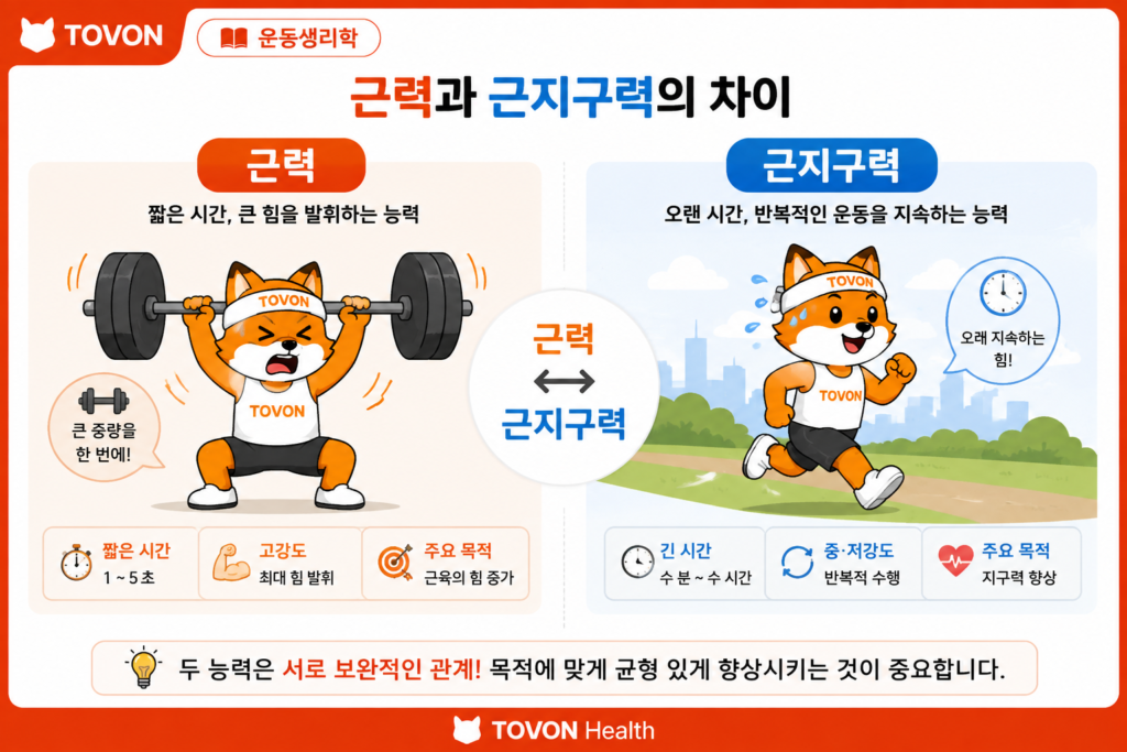 근력과 근지구력의 차이, 운동 효과는 어떻게 다를까? 근력과 근지구력의 차이를 비교한 운동 이미지