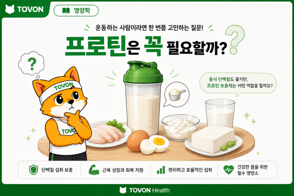 단백질이 근육을 만들고 유지하는 데 필요한 재료임을 보여주는 이미지