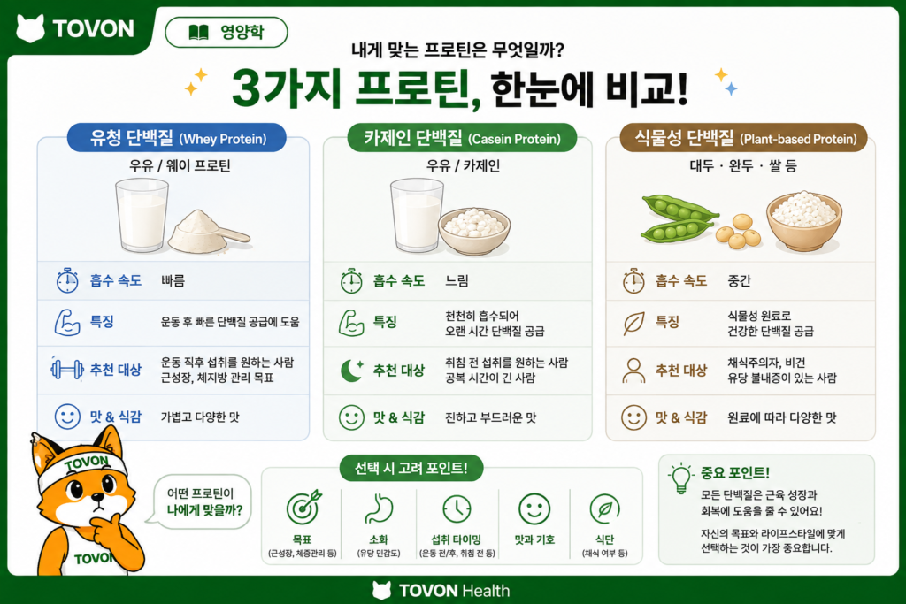 유청 단백질 카제인 단백질 식물성 단백질의 종류와 특징을 비교한 이미지