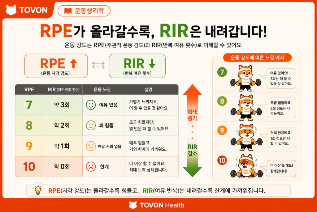 웨이트 트레이닝에서 RPE와 RIR의 관계를 보여주는 운동 강도 인포그래픽