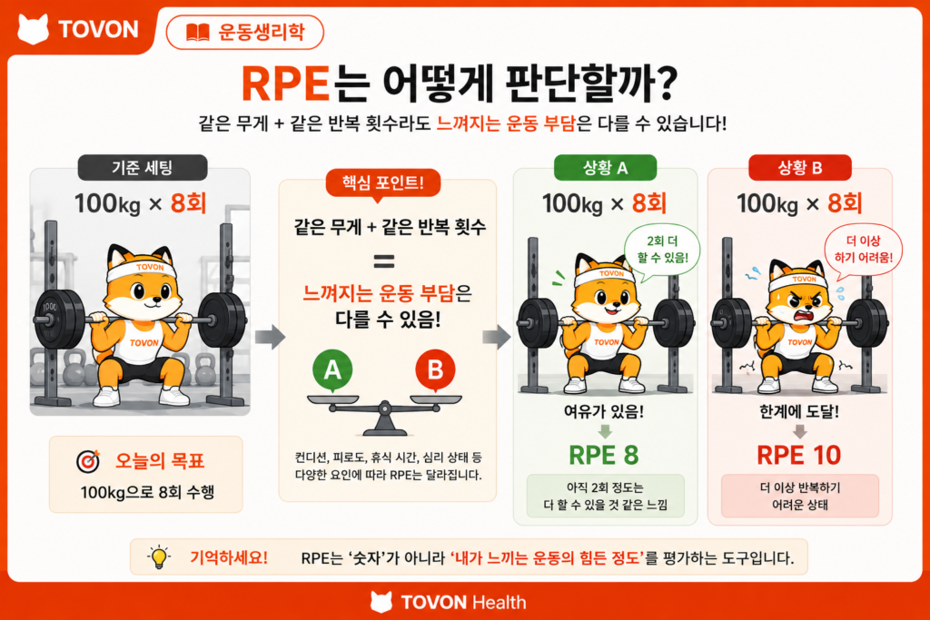 100kg 스쿼트 8회 수행 후 남은 반복 여유에 따라 RPE 8과 RPE 10으로 평가하는 예시