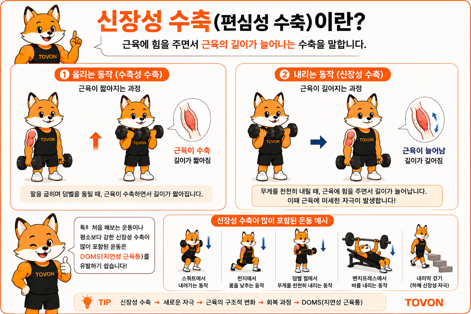 운동 후 발생하는 지연성 근육통 DOMS