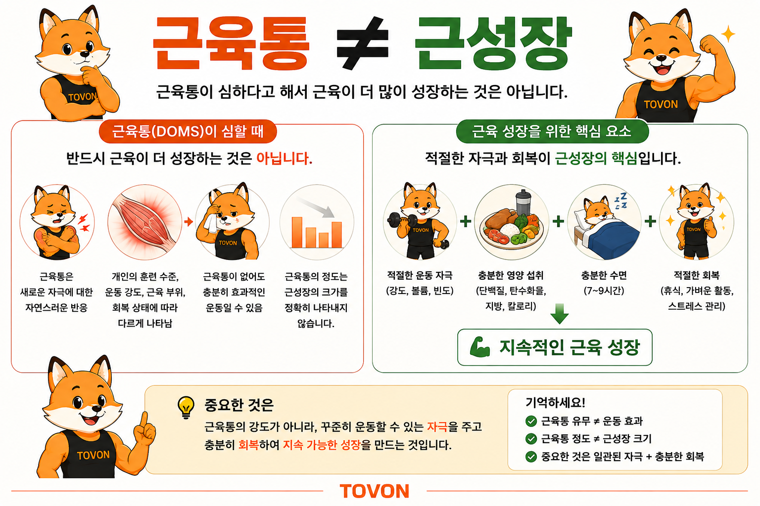 근육통의 정도와 근육 성장의 관계