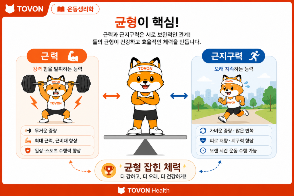 근력과 근지구력의 차이, 운동 효과는 어떻게 다를까? 근력과 근지구력을 함께 발달시키는 균형 잡힌 운동 이미지