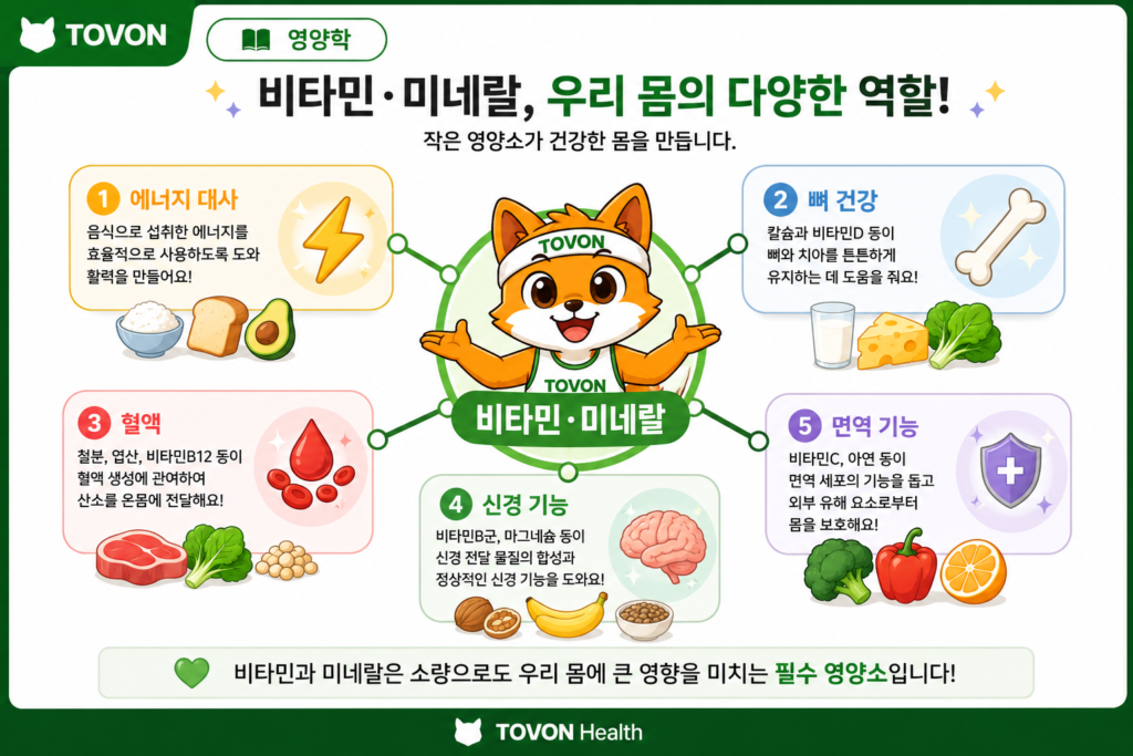 비타민과 미네랄은 왜 필요할까? 우리 몸에서 하는 역할 비타민과 미네랄이 에너지 대사와 뼈, 신경, 면역 기능에 관여하는 모습을 나타낸 이미지
