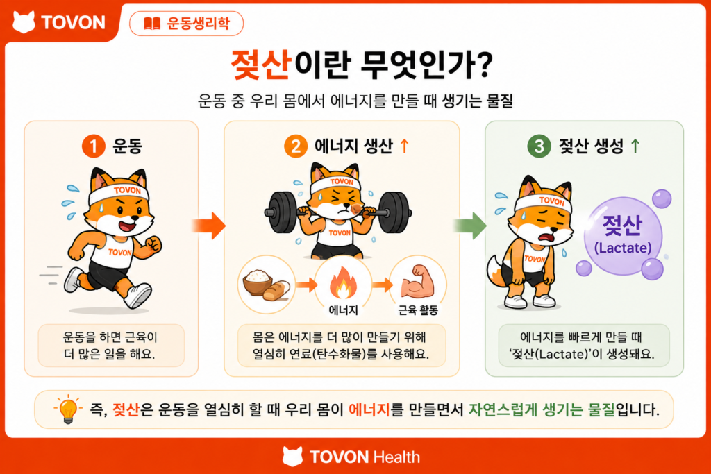 운동 중 에너지 생산 과정에서 젖산이 생성되는 과정을 보여주는 일러스트