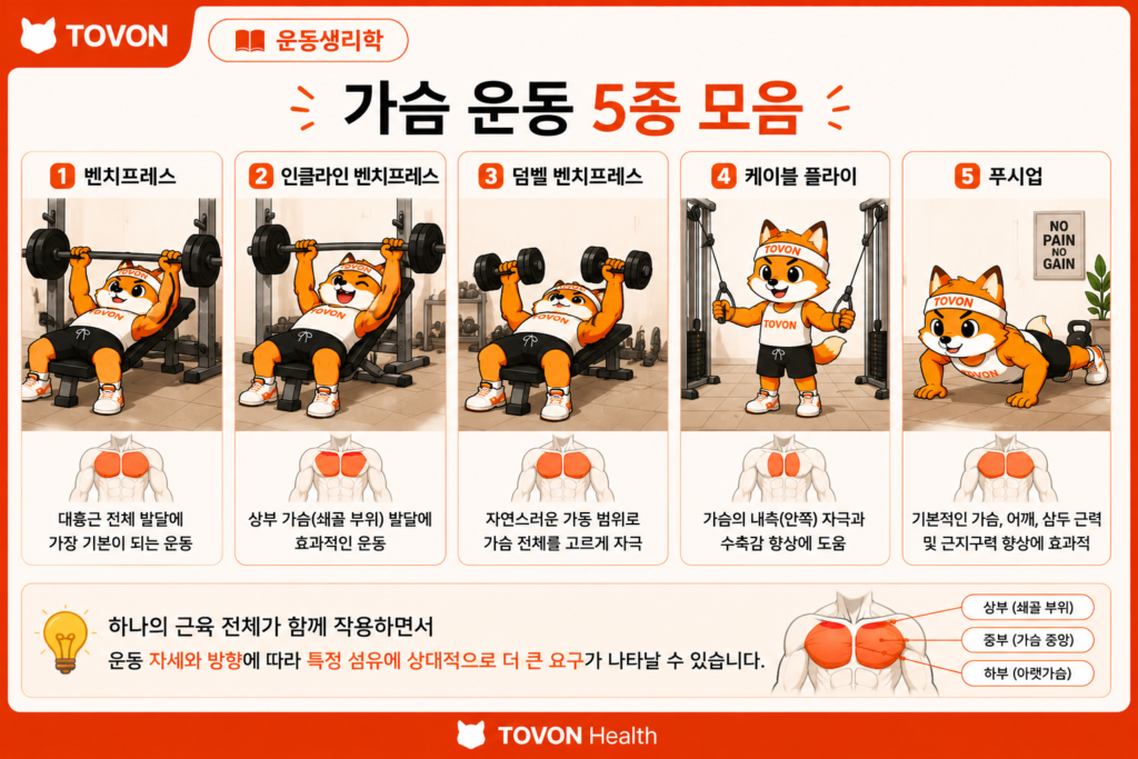 벤치프레스와 인클라인 벤치프레스 등 운동에 따른 근육 자극 차이