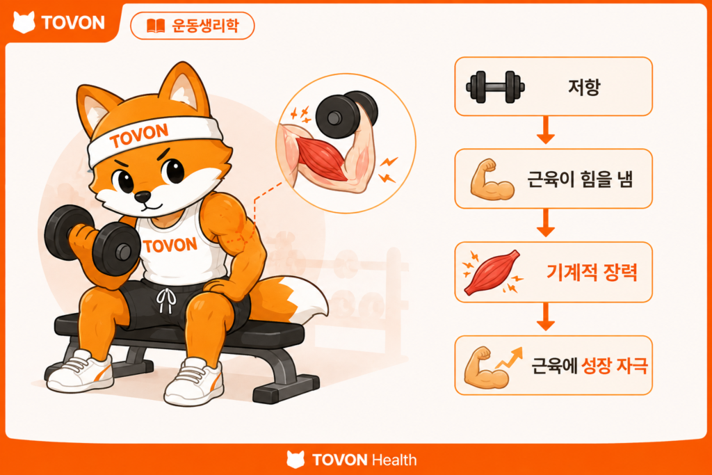 벤치프레스에서 대흉근에 발생하는 기계적 장력