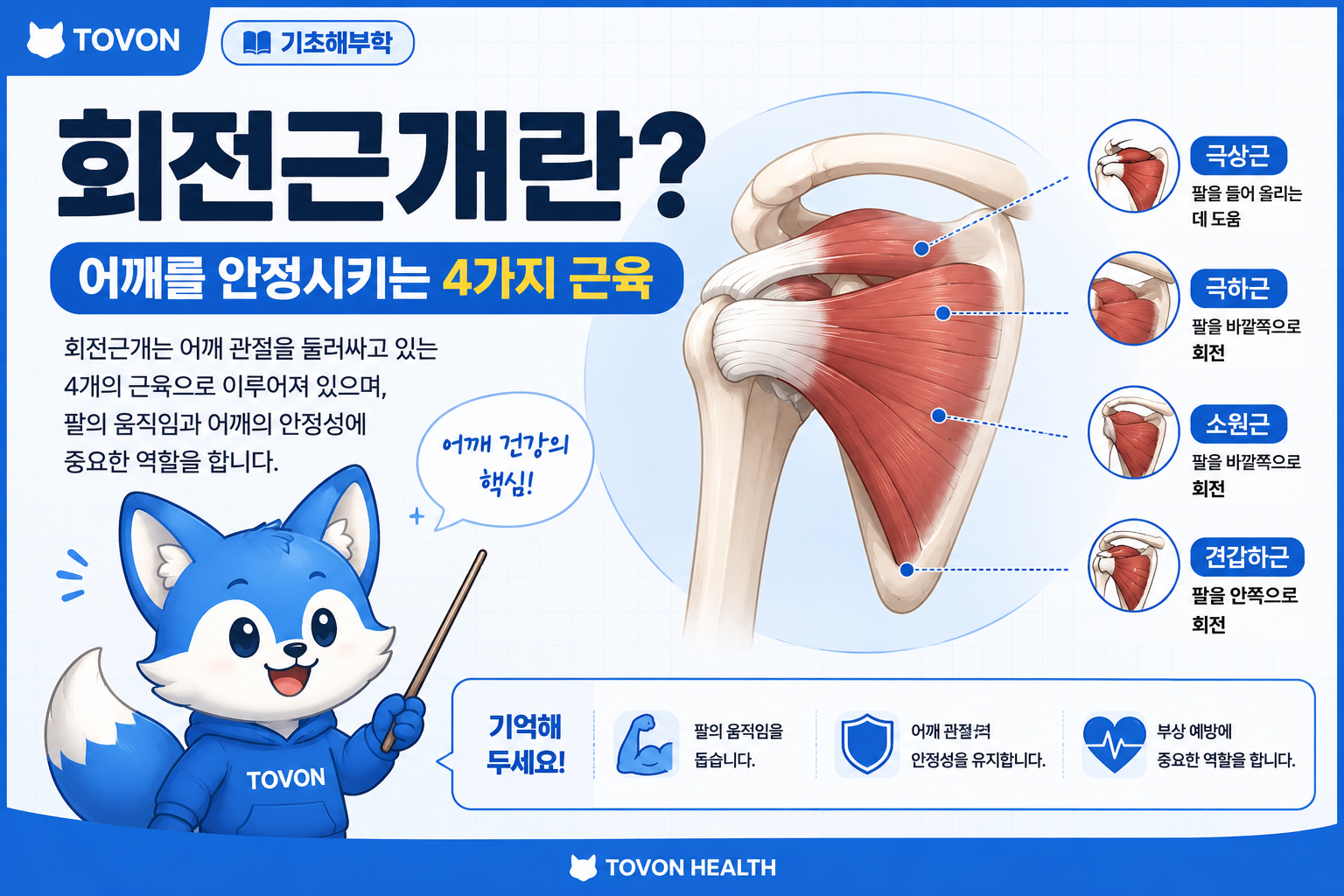 회전근개란?