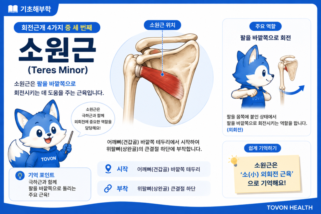 소원근 위치와 팔 외회전 기능