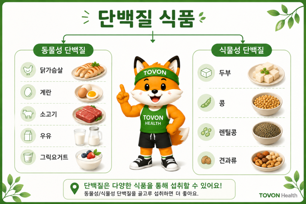 닭가슴살, 계란, 소고기, 두부 등 다양한 단백질 식품