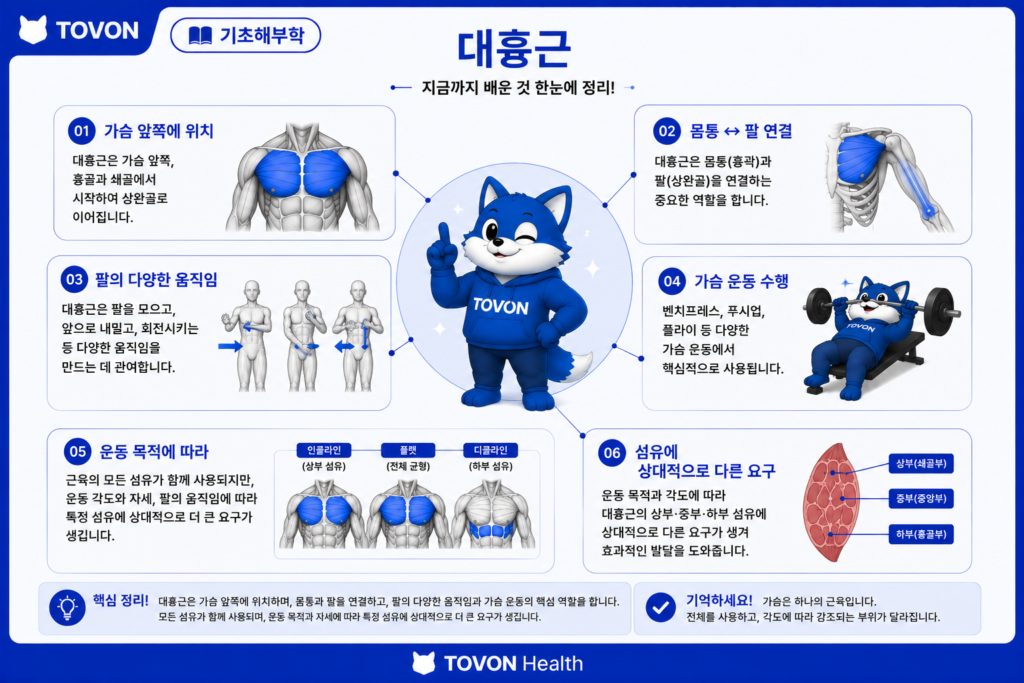 대흉근 기초해부학 정리