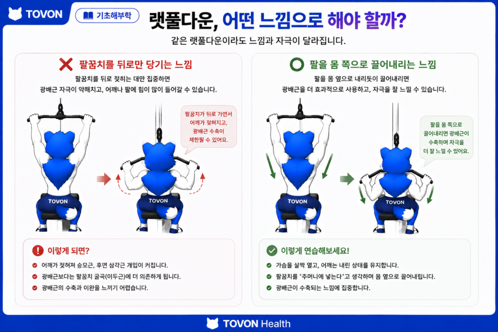 광배근이란? 등 근육의 구조와 역할 랫풀다운에서 팔을 몸 쪽으로 끌어내리는 움직임
