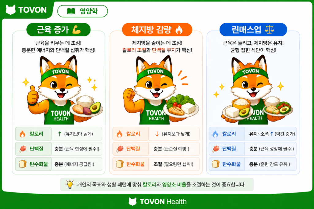 탄수화물 섭취량은 얼마나? 운동하는 사람의 단백질·지방 섭취량까지 근육 증가 체지방 감량 린매스업에 따른 영양소 섭취 전략