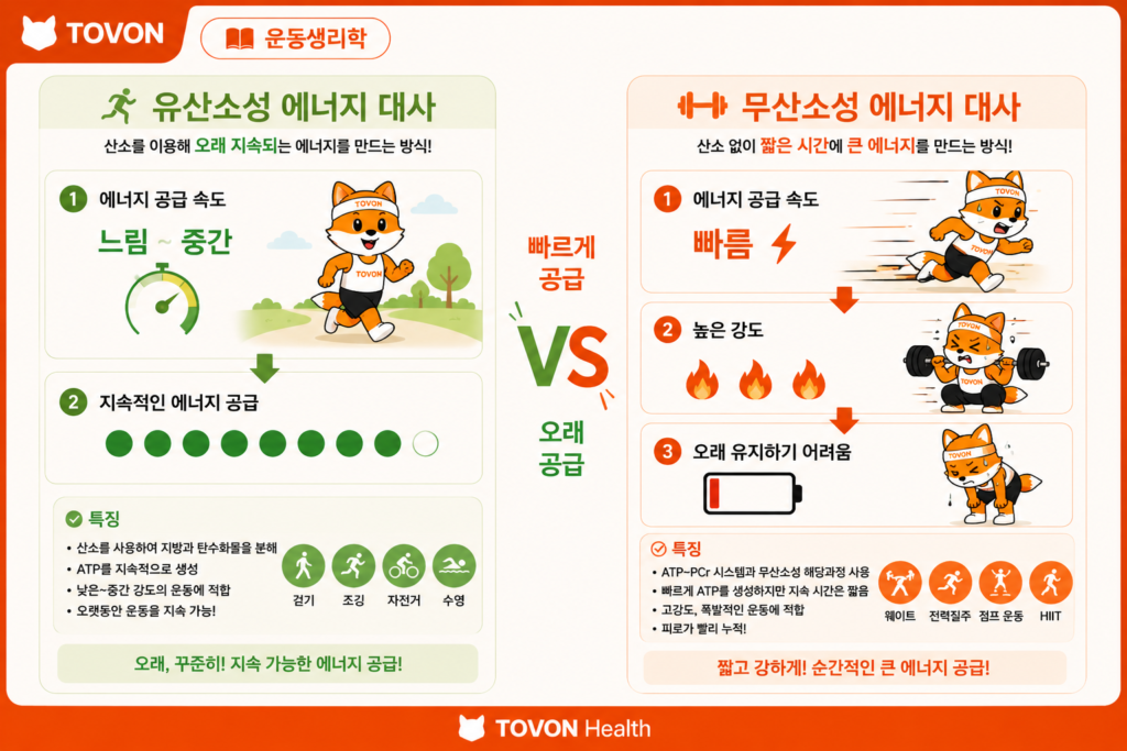 유산소성 에너지 대사와 무산소성 에너지 대사의 에너지 공급 속도와 지속 시간 비교