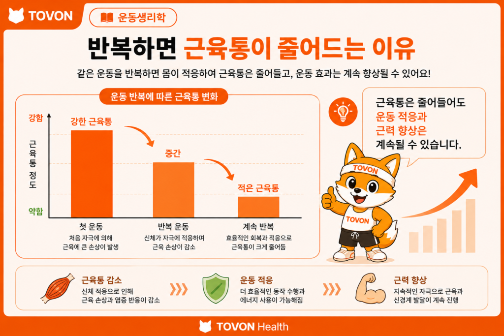 같은 운동을 반복하면서 근육통이 점차 감소하는 반복 운동 효과