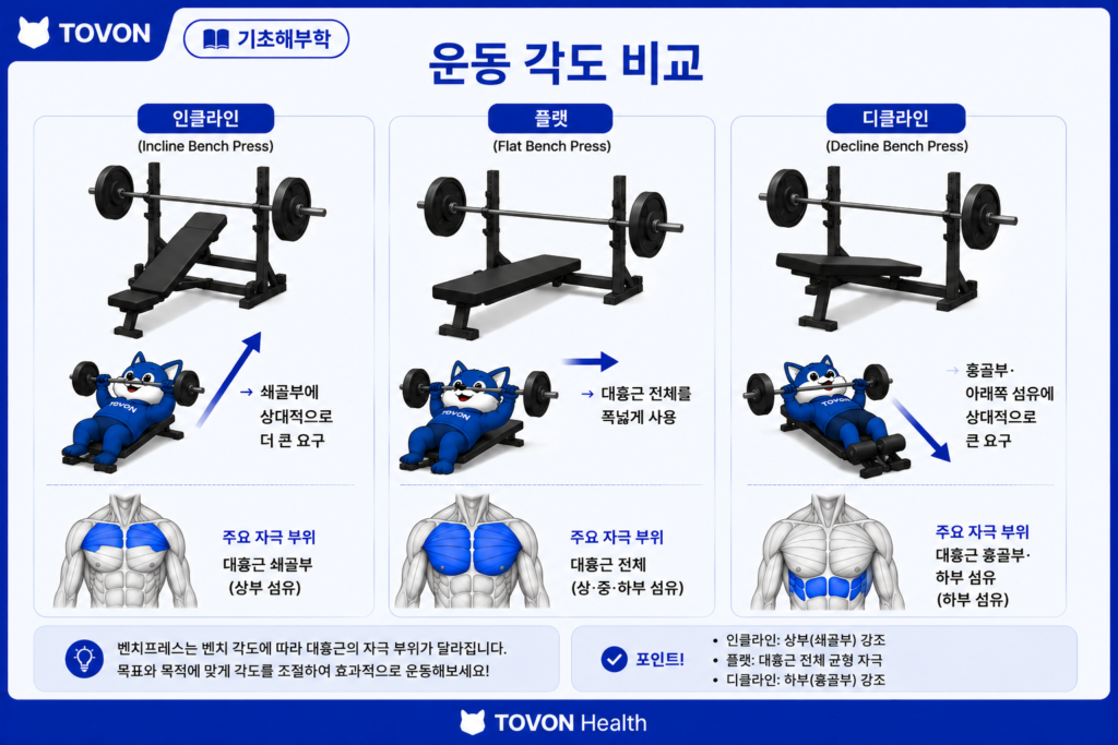 인클라인 플랫 디클라인 프레스에서 대흉근 섬유의 차이