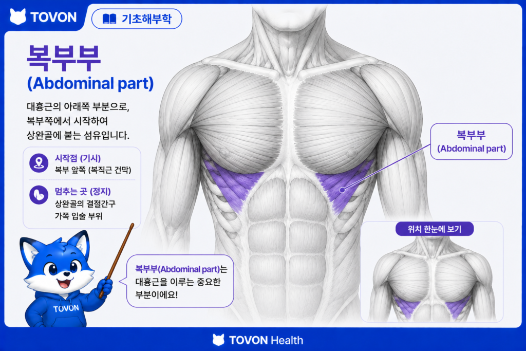 복부부 인포그래픽