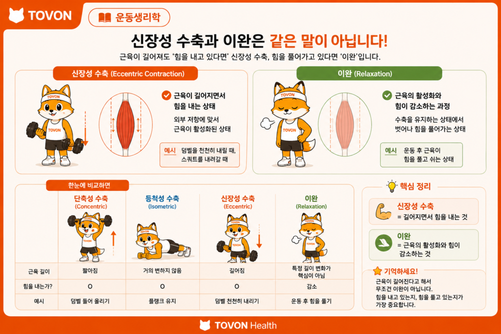 신장성 수축이란? 근육통이 생기는 이유와 근육 성장의 관계 신장성 수축과 이완의 차이점