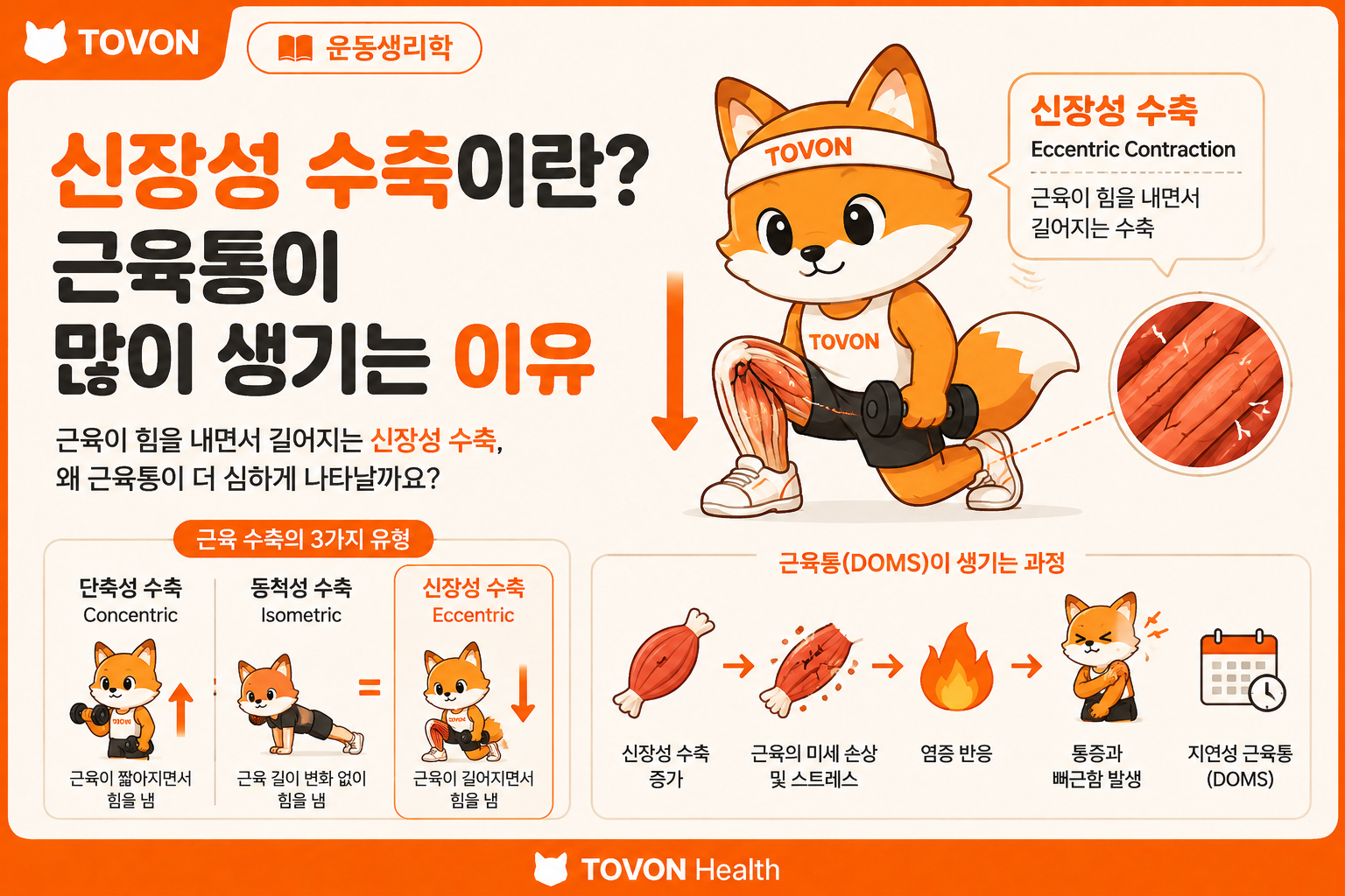 신장성 수축이란