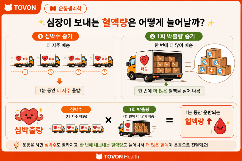 심박수와 1회 박출량이 증가해 심박출량이 늘어나는 과정을 트럭 배송에 비유한 그림