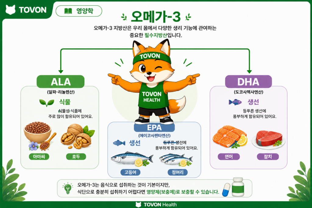 지방은 무조건 나쁠까? 좋은 지방과 나쁜 지방 이해하기 ALA와 EPA 및 DHA로 나뉘는 오메가-3 지방산과 식품 예시