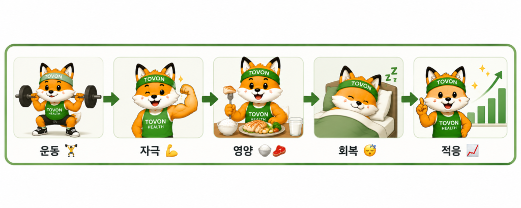 요약 인포그래픽