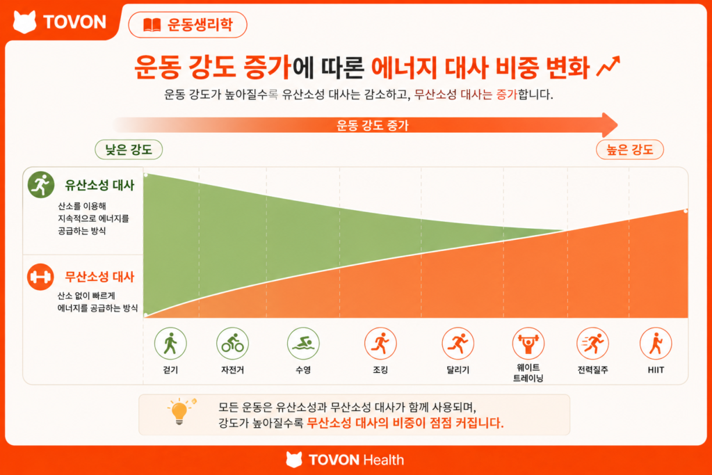 운동 강도가 높아질수록 유산소성 에너지 대사와 무산소성 에너지 대사의 비중이 변하는 과정