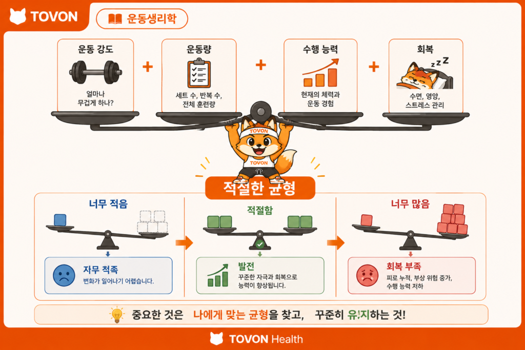 적절한 운동량과 회복의 균형을 통한 근육 성장