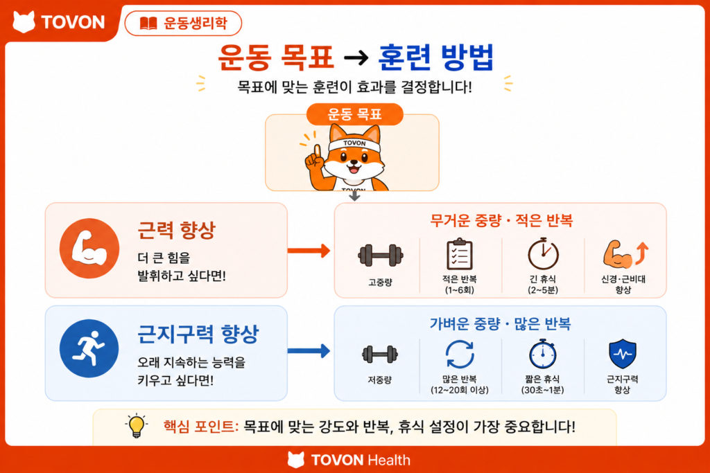 근력과 근지구력의 차이, 운동 효과는 어떻게 다를까? 운동 목표와 훈련 방법 인포그래픽