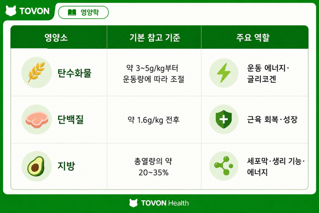 탄수화물 섭취량은 얼마나? 운동하는 사람의 단백질·지방 섭취량까지 운동하는 사람의 탄수화물 단백질 지방 섭취 기준 요약