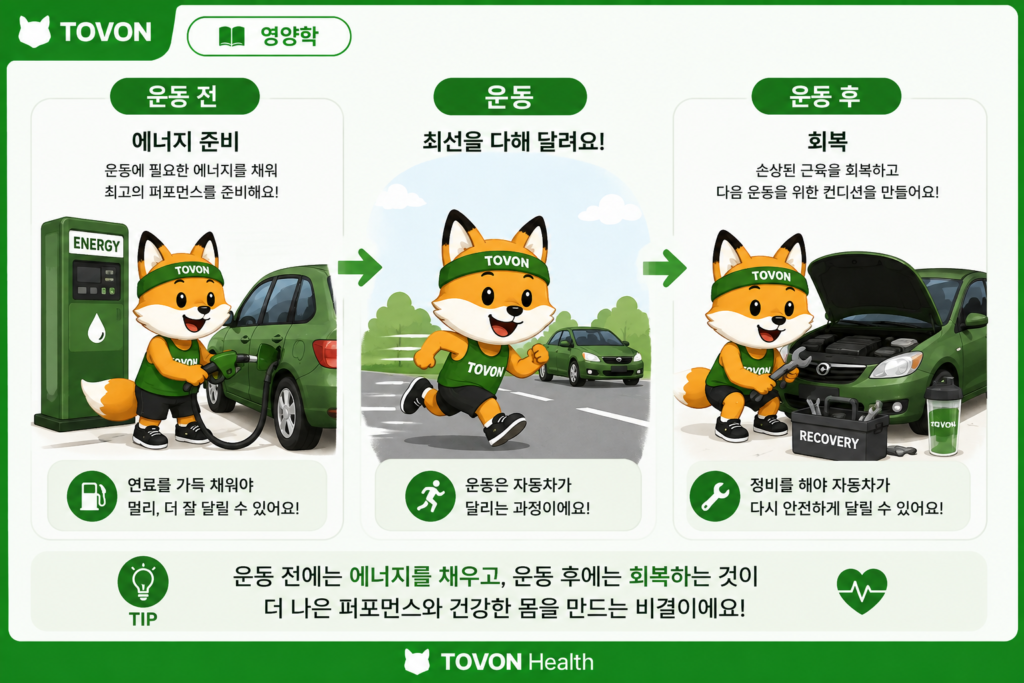 운동 전 식사는 에너지를 채우고 운동 후 식사는 회복을 돕는 과정을 자동차에 비유한 이미지