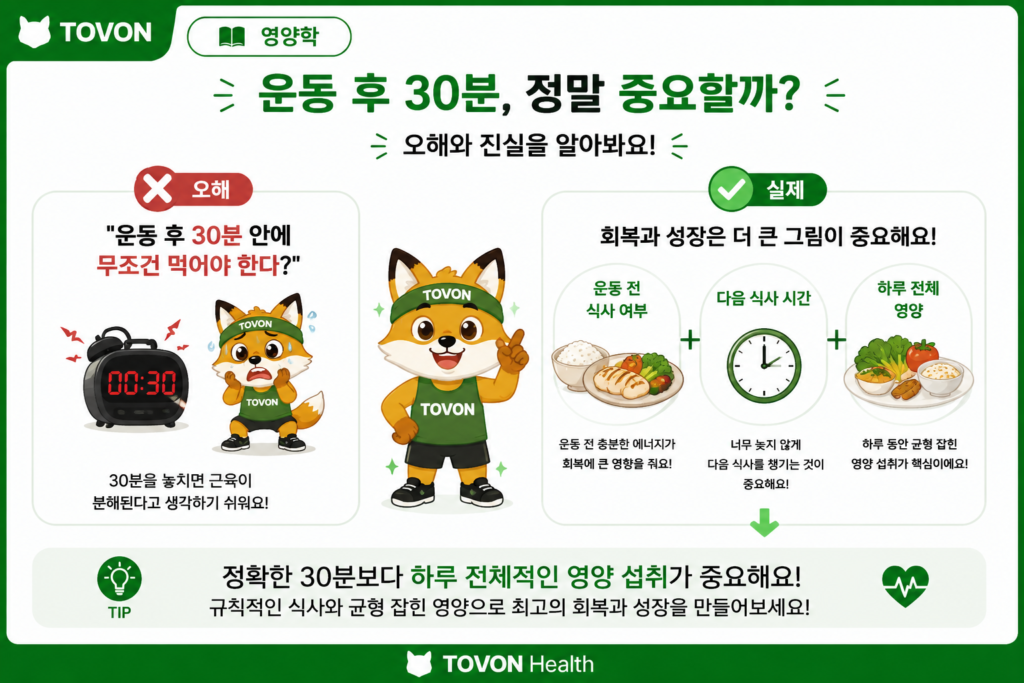 운동 후 단백질과 식사를 반드시 30분 안에 먹어야 한다는 오해를 설명하는 이미지
