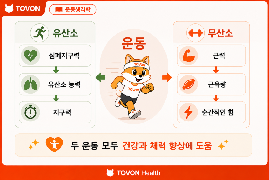 유산소 운동과 무산소 운동의 주요 효과 비교