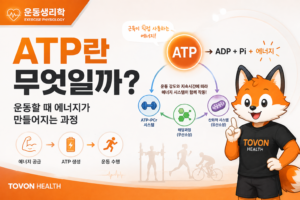운동생리학2 atp란 무엇일까