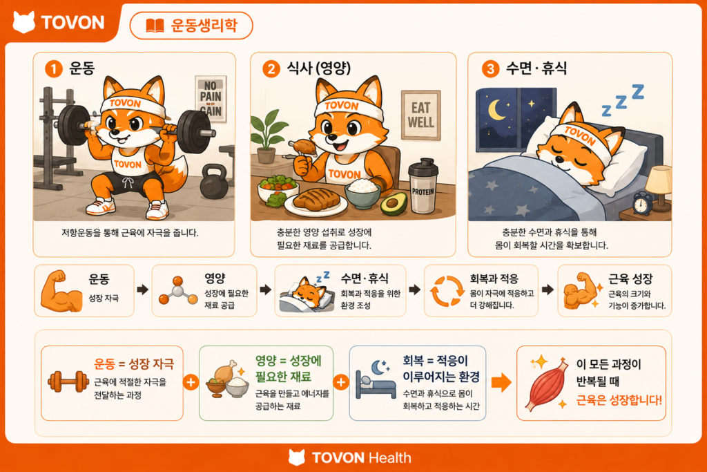 운동 후 수면과 휴식을 통한 근육 회복과 적응